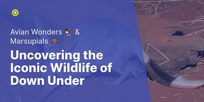 Uncovering the Iconic Wildlife of Down Under - Avian Wonders 🦅 & Marsupials 🦇
